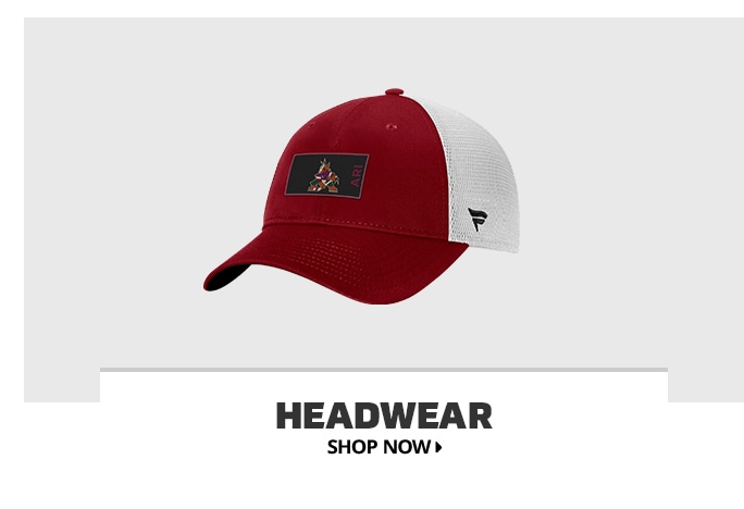 Men's Fanatics Branded Heather Gray Arizona Coyotes Logo Adjustable Hat